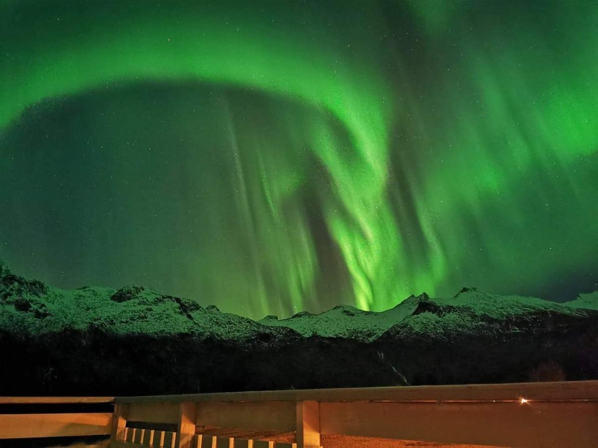 Unique And Charming House At The Foot Of Lofoten'S Highest Mountain Svolvaer Ngoại thất bức ảnh
