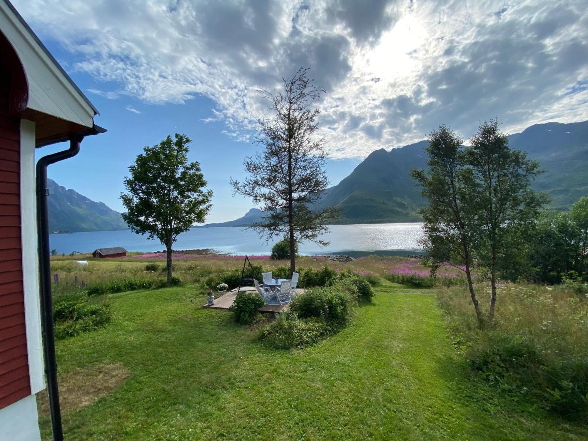 Unique And Charming House At The Foot Of Lofoten'S Highest Mountain Svolvaer Ngoại thất bức ảnh